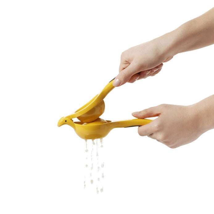 Citrus Squeezer - US 4219