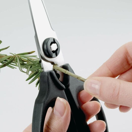 Kitchen And Herb Scissors - US 4129