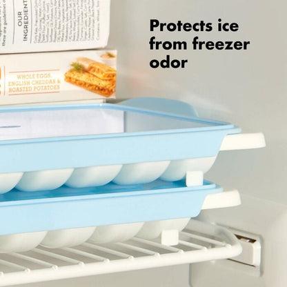 Ice Cube Tray - US 2068