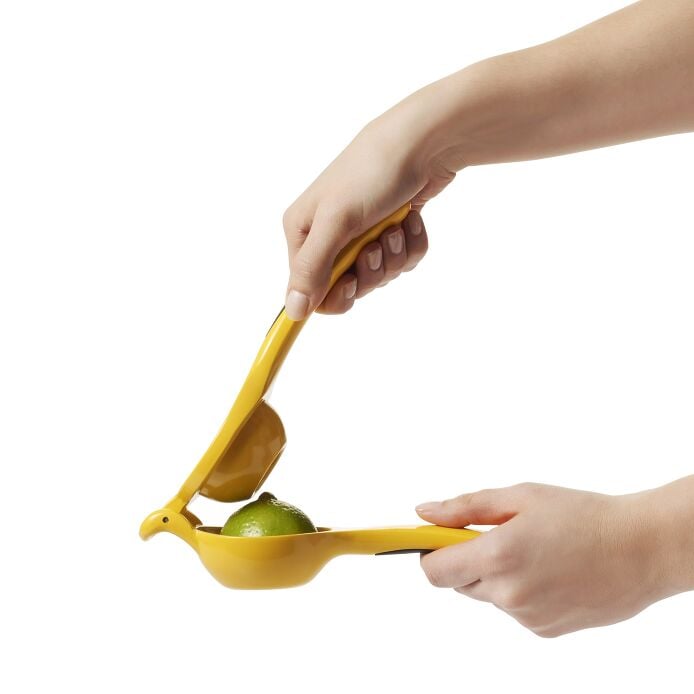 Citrus Squeezer - US 4219
