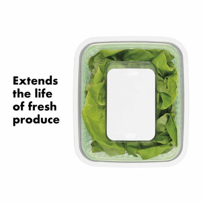 GreenSaver Produce Keeper (4.3 Qt) - US 8819
