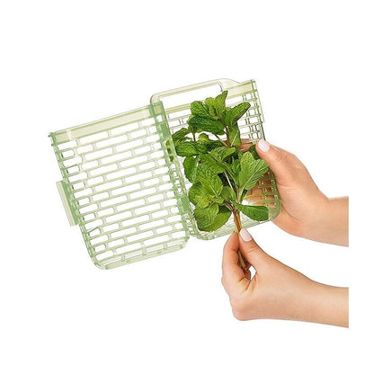 GreenSaver Herb Keeper - Small - US 6933