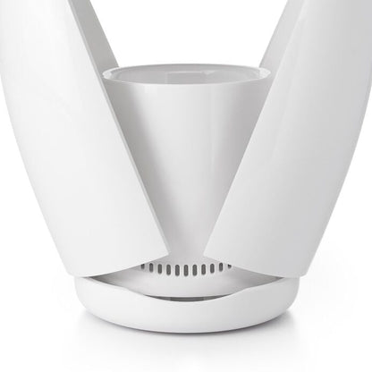 Toilet Brush with Rim Cleaner - US 9740