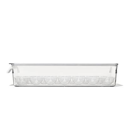 Refrigerator Egg Bin With Removable Tray - US 0999