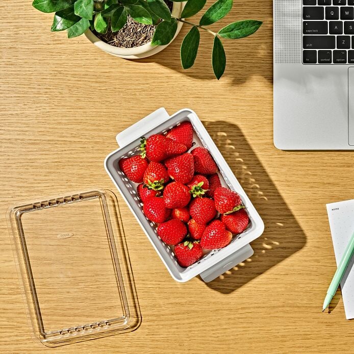Produce Saver - Berry Keeper 2-Piece Set - US 5097