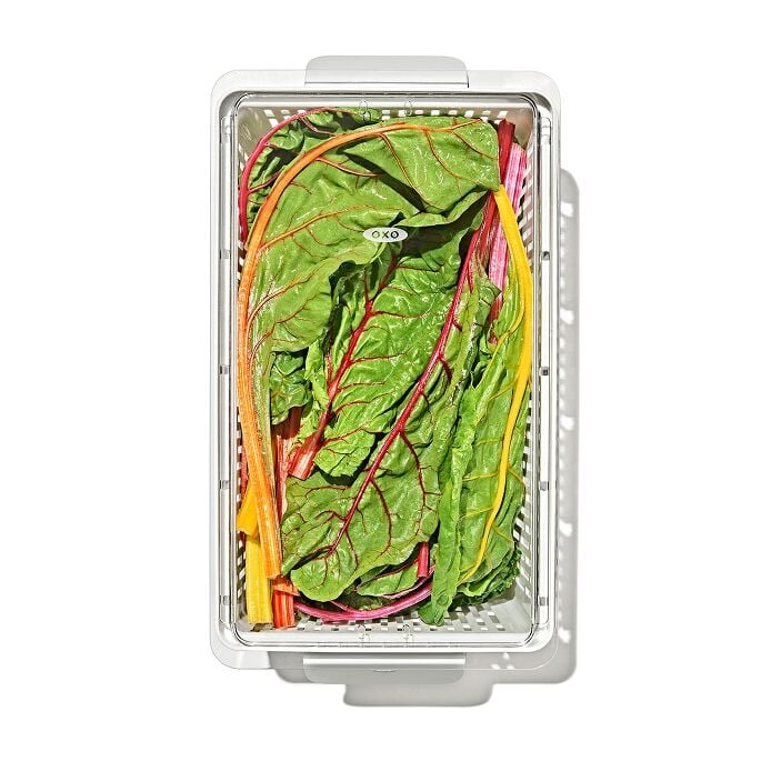 Produce Saver - Large Bin - US 8363