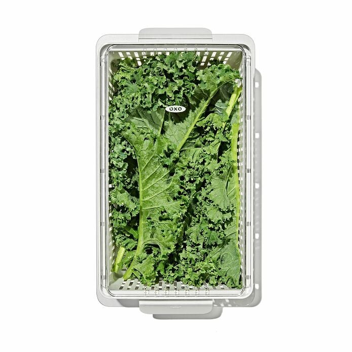 Produce Saver - Medium Bin - US 5390