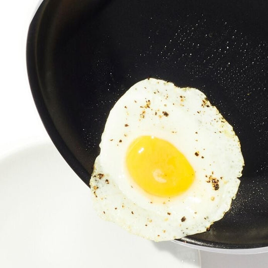 OXO Non-Stick Everyday 10 in. Fry Pan - US 2476