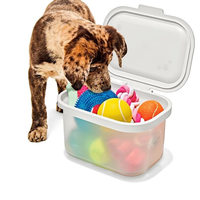 OXO Pet Multi-Purpose Container - US 3734