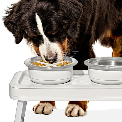 OXO Pet Easy-Clean Slow Feeder - Medium, 2 Cups/489 mL - US 8139
