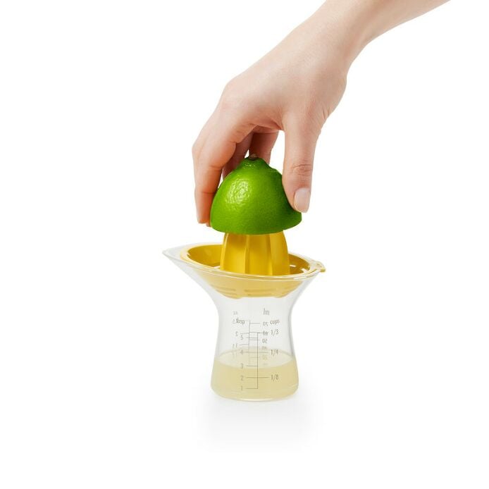 Small Citrus Juicer - US 0779