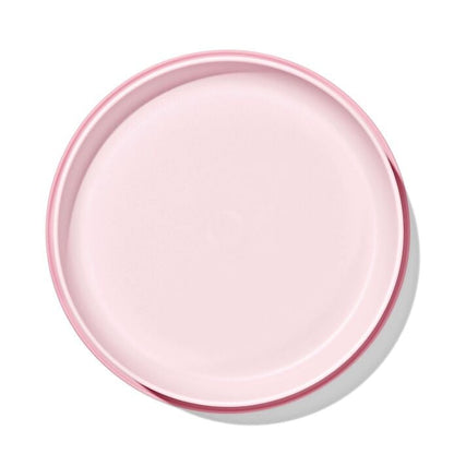 Stick & Stay Suction Plate - US 4170
